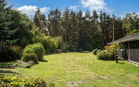 Fritzy - 1.5Km from the Sea: Erba, Verde, Arbusto, Giardino, Lotto, Groundcover, Prato, Villetta, Landscaping