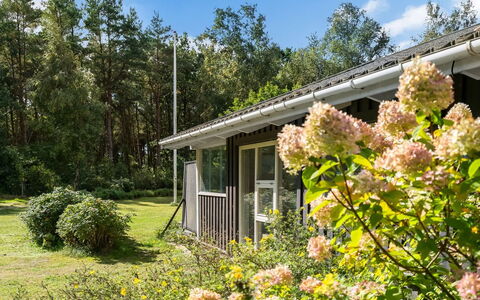 Fritzy - 1.5Km from the Sea: Vegetazione, Arbusto, Casa, Villetta, Casa, Giardino, Lotto, Comunita 'Impianto, Groundcover, Primavera