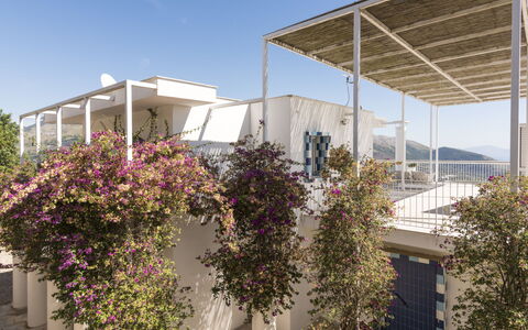 Capri: Balcone, Appartamento, Shade, Illuminazione Diurna