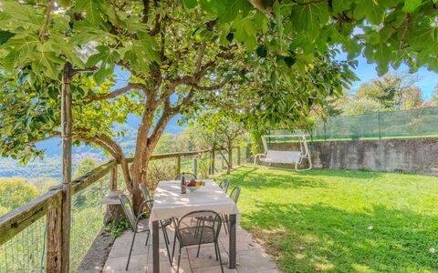 Al Roccolo: Paesaggio, Area Rurale, Recinzione, Primavera, Luce Del Sole, Shade, Giardino, Home Scherma, Parco, Backyard