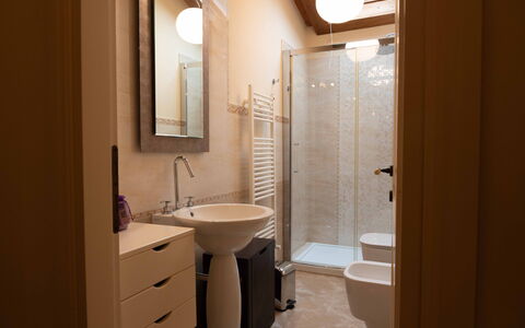 Tenuta di Mezzo: Lavandino Del Bagno, Pavimentazione, Interior Design, Pavimento, Parete, Idraulico Fixture, Legna, Bagno, Lavello, Specchio