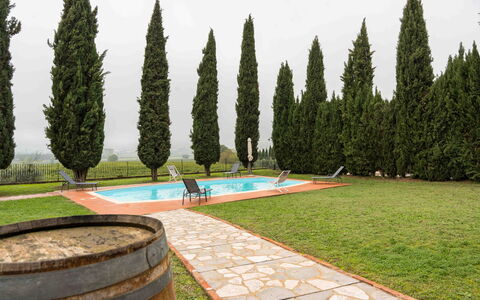 Tenuta di Mezzo: Giardino, Landscaping, Prato, Piantagione, Sempreverde, Parco, Hedge, Pine Famiglia
