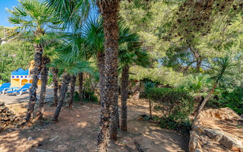 El Cacique: Acqua, Risorse Idriche, Corpo D'Acqua, Roccia, Costa, Paesaggio Naturale, Promontorio, Costiera E Morfologie Oceanic, Terreno, Promontorio