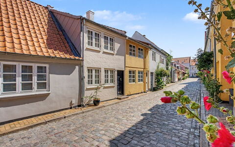 Faaborg 634: Guglia, Driveway, Campanile
