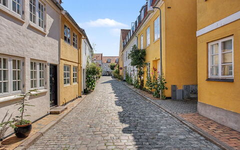 Faaborg 634: Guglia, Driveway, Campanile
