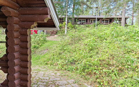 Mäkrä 3: Legna, Arbusto, Lotto, Groundcover, Foresta, Primavera, Tronco, Woodland, Giardino, Villetta