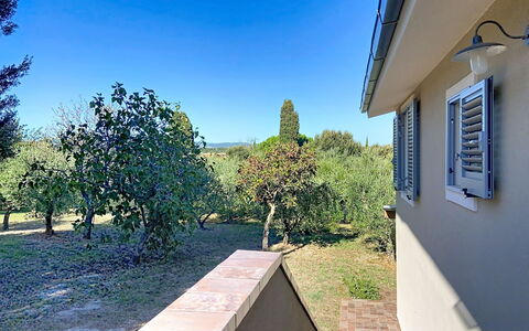 Linaglia: Zona Residenziale, Casa, Shade, Giardino, Sobborgo, Estate, Landscaping, Cortile, Backyard, Driveway