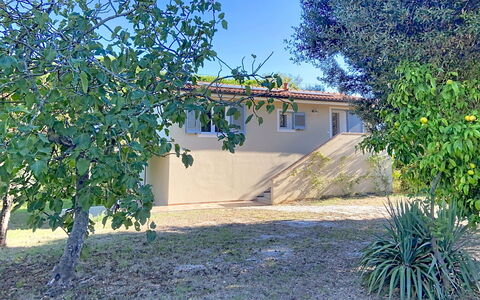 Linaglia: Shade, Giardino, Backyard, Cortile, Prato, Landscaping, Driveway, Ombra, Agriturismo