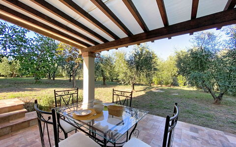 Linaglia: Mobilia, Tavolo, Mobili Da Esterno, Tavolo Esterno, Soffitto, Cucina & Sala Da Pranzo Tavolo, Sedia, Shade, Struttura Esterna, Portico