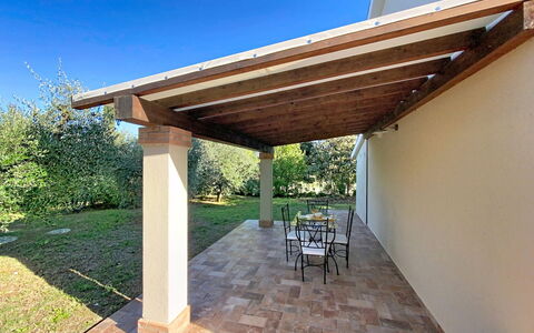 Linaglia: Legna, Shade, Fascio, Colonna, Struttura Esterna, Color Legno, Soffitto, Mobili Da Esterno, Giardino, Terrazza