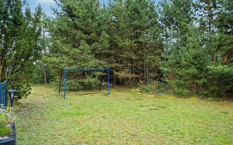 Karelia - 900M from the Sea: Albero, Woody Impianto, Prato, Giardino, Boschetto, Woodland, Shade, Parco, Landscaping, Sempreverde