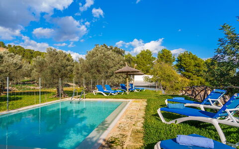 Sa Serra: Blu, Piscina, Ricorrere, Eco Hotel, Riflessione, Mobili Da Esterno, Lettino