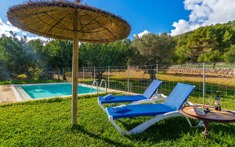 Sa Serra: Piscina, Ricorrere, Eco Hotel, Mobili Da Esterno, Backyard