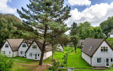 Daisy Valley Lodge: Arbusto, Area Rurale, Villetta, Giardino, Prato, Prato, Landscaping, Larice, Sempreverde