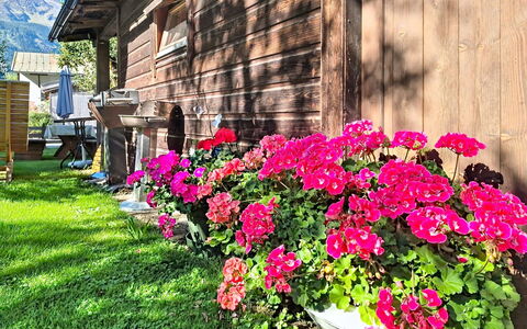 Edelweiß: Fiore, Petalo, Giardino, Rosa, Pianta Fiorita, Primavera, Groundcover, Fiorai, Vaso Di Fiori
