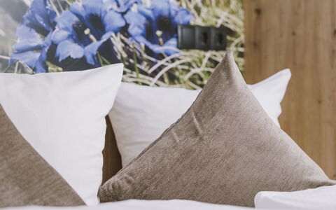 Mayrhofen 44: Cuscino, Camera Da Letto, Biancheria, Lancia Cuscino, Bedding, Lenzuolo, Cuscino, Tessile, Mobilia, Letto