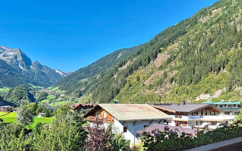 Edelweiß: Montagna, Geografia Montane, Collina, Albero, Natura, Catena Montuosa, Highland, Paesaggio, Hill Station