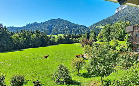 Ferienhaus Lanzinger: Geografia Montane, Verde, Albero, Erba, Montagna, Paesaggio Naturale, Pascolo, Collina, Highland, Paesaggio