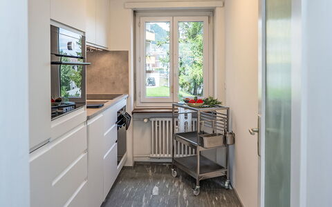 Chesa Salet: Arbusto, Casa, Zona Residenziale, Casa, Giardino, Shade, Cortile, Cortile, Vaso Di Fiori