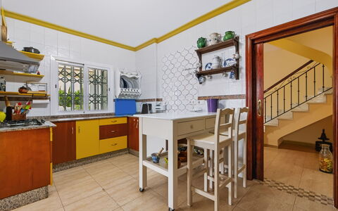 Rompeolas: Arbusto, Casa, Zona Residenziale, Casa, Giardino, Shade, Cortile, Cortile, Vaso Di Fiori