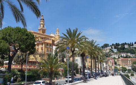 Le Magellan: Albero, Città, Cittadina, Attrazione Turistica, Costa, Resort Citta ', Street Luce, Vacanza