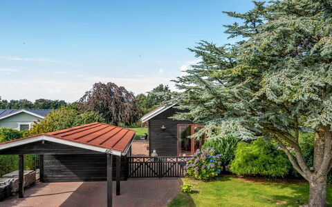Anarosa - 6Km from the Sea: Arbusto, Casa, Casa, Tetto, Villetta, Giardino, Shade, Prato, Landscaping, Cortile