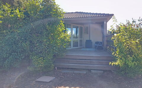 A Casetta: Arbusto, Lotto, Giardino, Villetta, Edifici Giardino, Backyard, Landscaping, Shade, Estate, Cortile