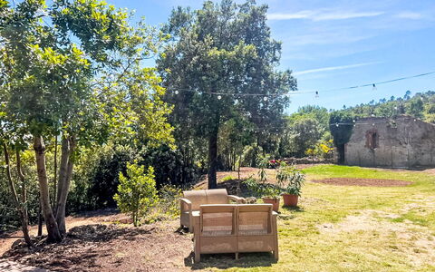Pari 3: Albero, Foglia, Vegetazione, Arbusto, Paesaggio, Giardino, Area Rurale, Shade, Suolo