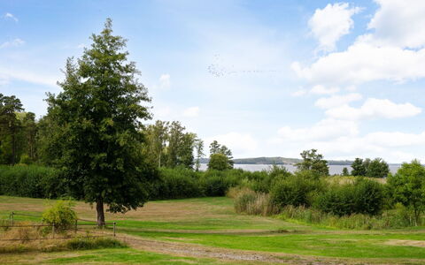 Björkfjärden: Cielo, Blu, Foglia, Verde, Erba, Albero, Natura, Ambiente Naturale, Ramo, Vegetazione