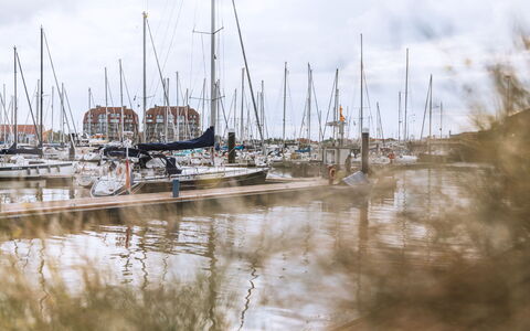 Amielie with Lateral Seaview: Acqua, Barca, Moto D'Acqua, Marina, Albero, Barca A Vela, Riflessione, Barche E Nautica - Macchine E Materiali, Porta, Dock