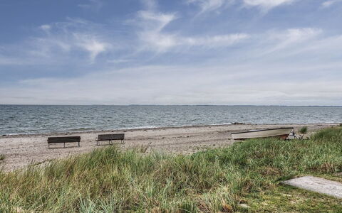 Swening - 50M from the Sea: Cielo, Blu, Acqua, Corpo D'Acqua, Ambiente Naturale, Orizzonte, Costa, Spiaggia, Mare