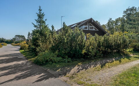 Herdina - 300M from the Sea: Cielo, Albero, Ramo, Vegetazione, Arbusto, Lotto, Driveway, Trail