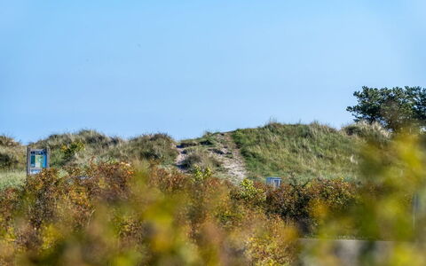 Herdina - 300M from the Sea: Cielo, Blu, Erba, Verde, Vegetazione, Ecoregione, Pascolo, Comunita 'Impianto, Arbusto