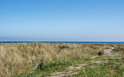 Herdina - 300M from the Sea: Blu, Erba, Orizzonte, Pascolo, Ecoregione, Estate, Mare, Comunita 'Impianto, Shrubland, Plain
