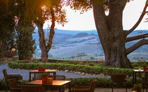 La Veduta – Scenic Views, Historic Castelfalfi: Mobilia, Giardino, Tavolo Esterno, Mobili Da Esterno, Landscaping, Shade, Eco Hotel, Piantagione, Sera