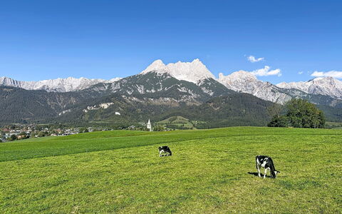 Thorermartlgut Incl. Gästekarte: Architettura, Pendenza, Villetta, Catena Montuosa, Log Cabin, Raccordo, Legname, Alpi, Eco Hotel, Paesino Di Montagna