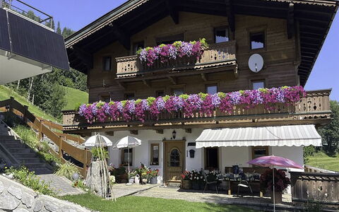 Manharthof: Architettura, Pendenza, Villetta, Catena Montuosa, Log Cabin, Raccordo, Legname, Alpi, Eco Hotel, Paesino Di Montagna