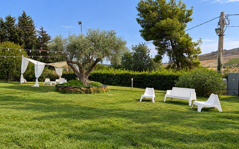 Casa Boungalow: Erba, Albero, Verde, Paesaggio, Giardino, Prato, Lotto, Groundcover