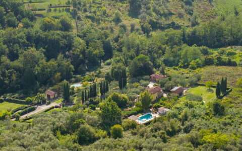 Al Melo: Albero, Vegetazione, Paesaggio, Area Rurale, Casa, Arbusto, Zona Residenziale, Comunita 'Impianto, Tetto, Lotto