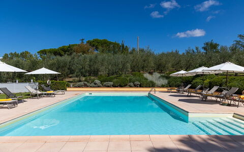 La Certaldina Luna Apartment: Piscina, Ricorrere, Giardino, Mobili Da Esterno, Landscaping, Eco Hotel, Lettino, Resort Citta '
