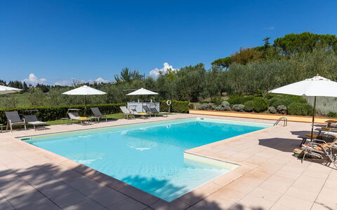 La Certaldina Stella Apartment: Piscina, Ricorrere, Giardino, Mobili Da Esterno, Landscaping, Eco Hotel, Lettino, Ombrello