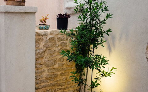 Marijana: Vaso Di Fiori, Calcestruzzo, Pianta Della Casa, Giardino, Flagstone, Erba, Cortile