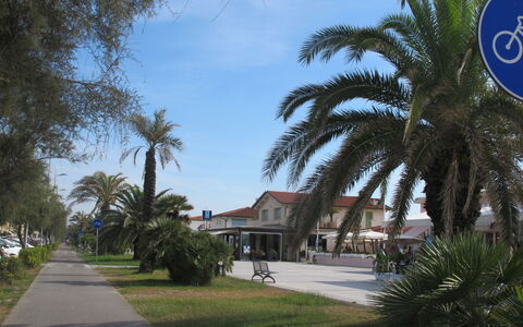 Casa Corallina: Albero, Spazio Pubblico, Shade, Marciapiede, Passerella, Driveway