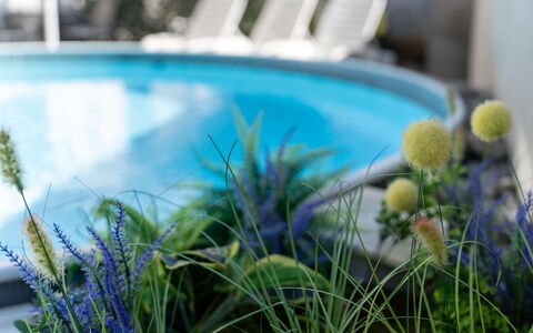 As: Mare, Costiera E Morfologie Oceanic, Costa, Ricorrere, Oceano, Riva, Spiaggia, Piscina, Resort Citta ', Tropici