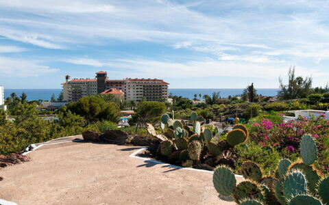 Red Rocks: Giardino, Landscaping, Vacanza, Passerella, Tropici, Giardino Botanico