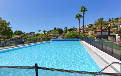 Red Rocks: Albero, Piscina, Ricorrere, Tempo Libero, Ricreazione, Shade, Vacanza, Eco Hotel, Hotel
