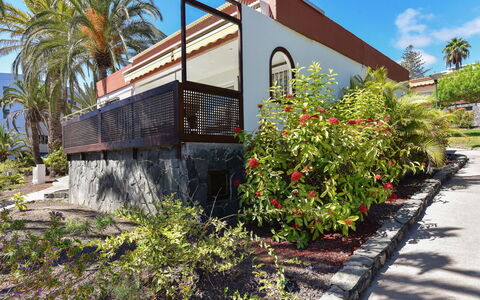 Red Rocks: Albero, Arbusto, Shade, Giardino, Eco Hotel, Landscaping, Hacienda, Passerella