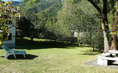 Ca' Angiulin: Prato, Giardino, Shade, Parco, Cortile, Backyard, Sempreverde