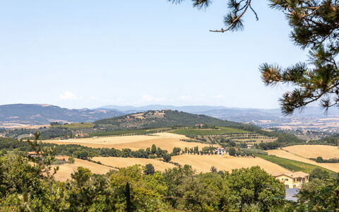 Il Melograno Apartament: Cielo, Albero, Foglia, Natura, Vegetazione, Paesaggio Naturale, Collina, Ecoregione, Paesaggio, Comunita 'Impianto