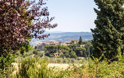 Il Melograno Apartament